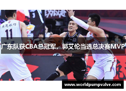 广东队获CBA总冠军，郭艾伦当选总决赛MVP